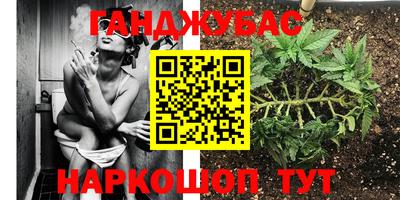 героин Кингисепп