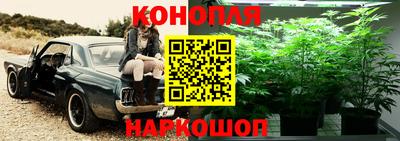 амф Кимры