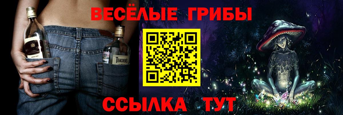 Псилоцибиновые грибы прущие грибы Бутурлиновка